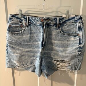 American Eagle Outfitters Light Blue Distressed Jean Shorts